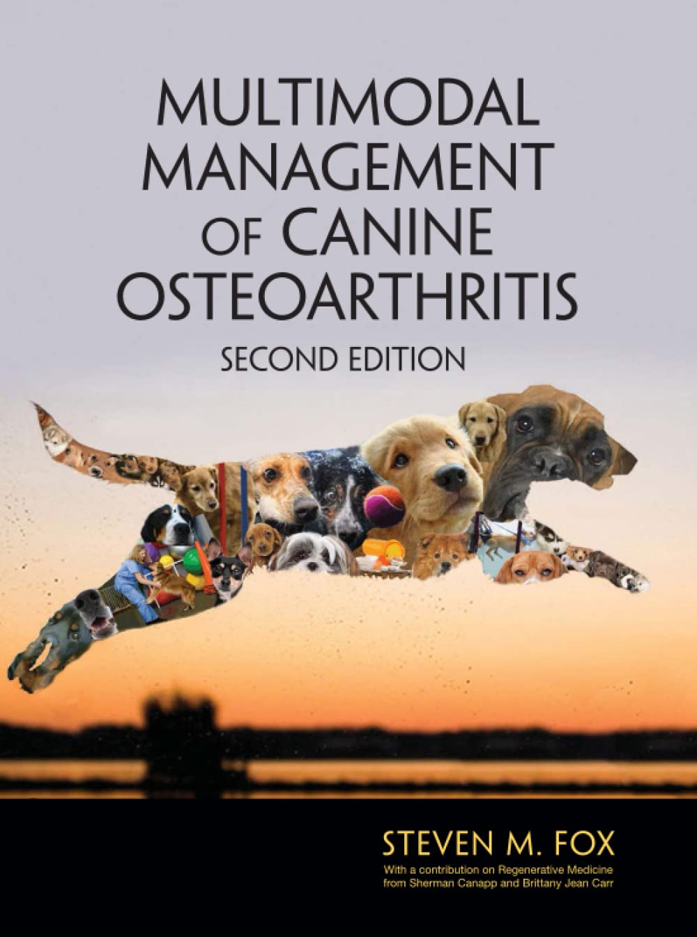 Multimodal Management of Canine Osteoarthritis 2nd Edition