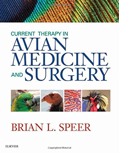 Current Therapy in Avian Medicine and Surgery, 1e by Brian Speer DVN DipECZM (Avian) DiplABVP (Avian)