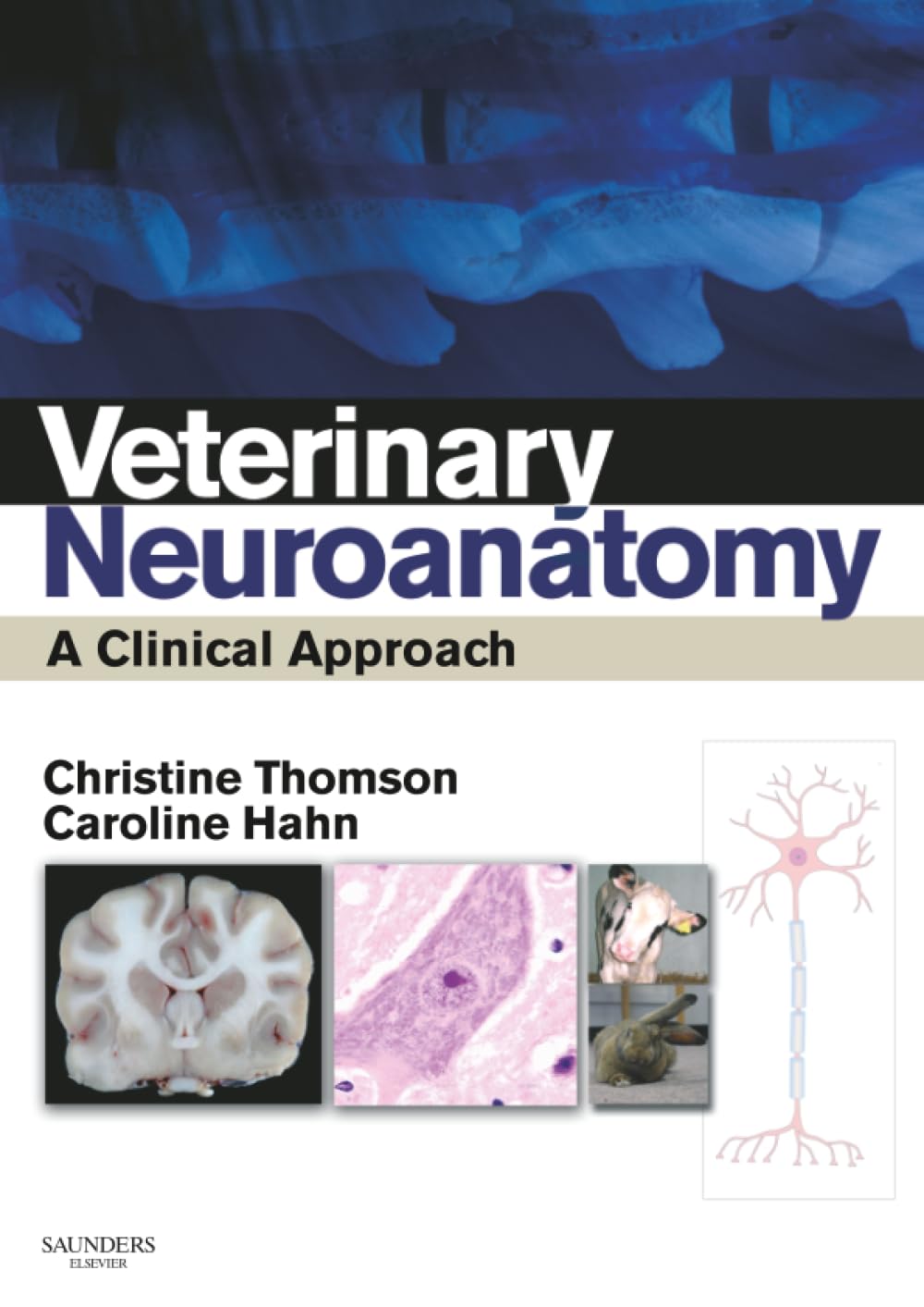 Veterinary Neuroanatomy 1st Edition