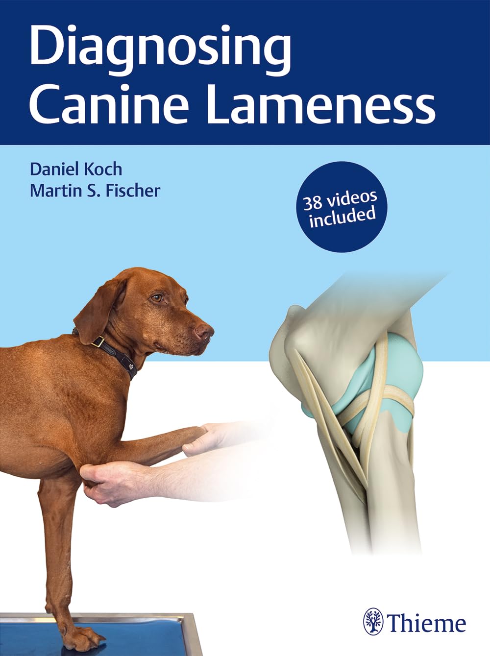 Diagnosing Canine Lameness 1st Edition + 37 Videos