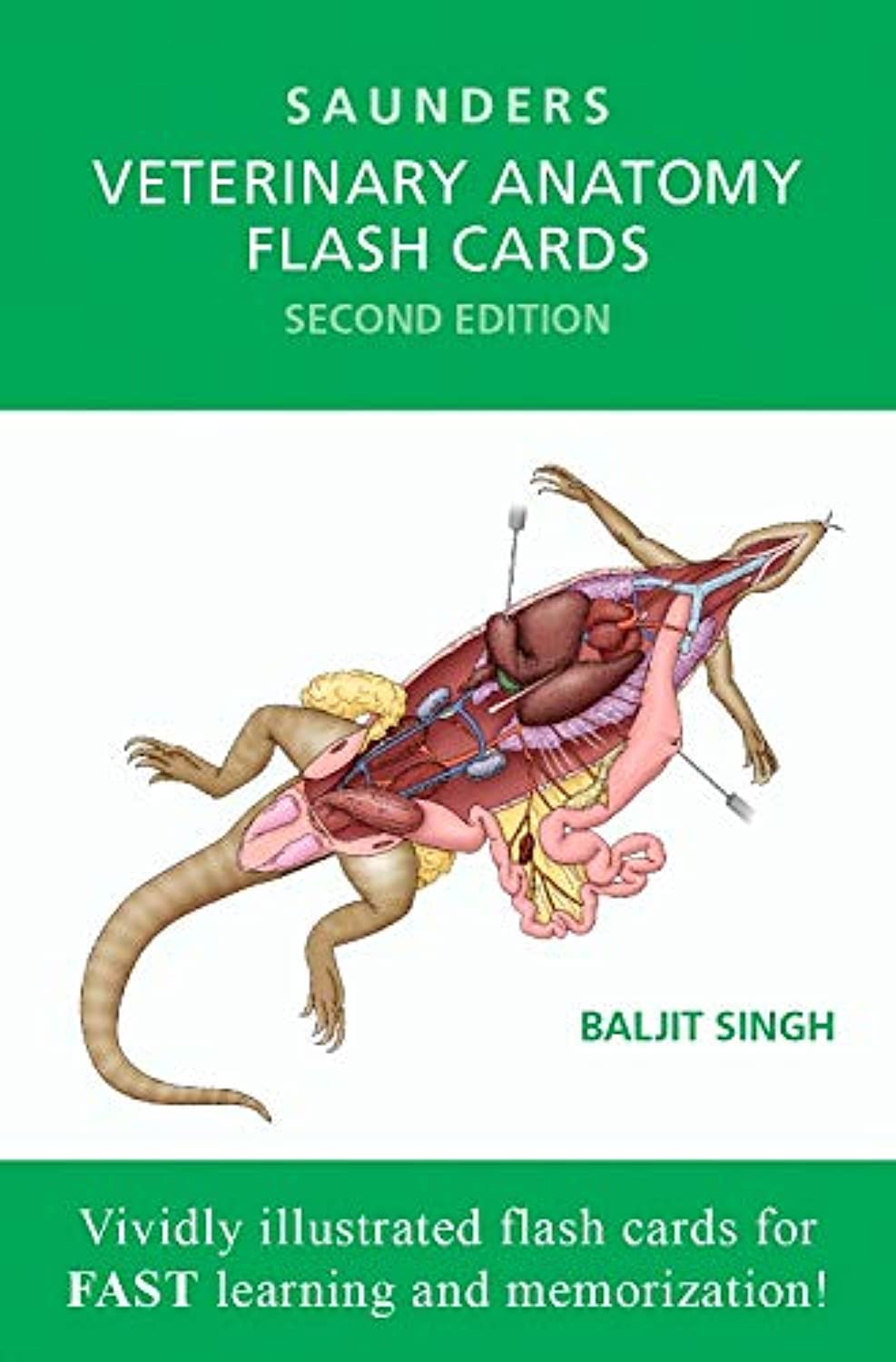 Veterinary Anatomy Flash Cards 2nd Edition
