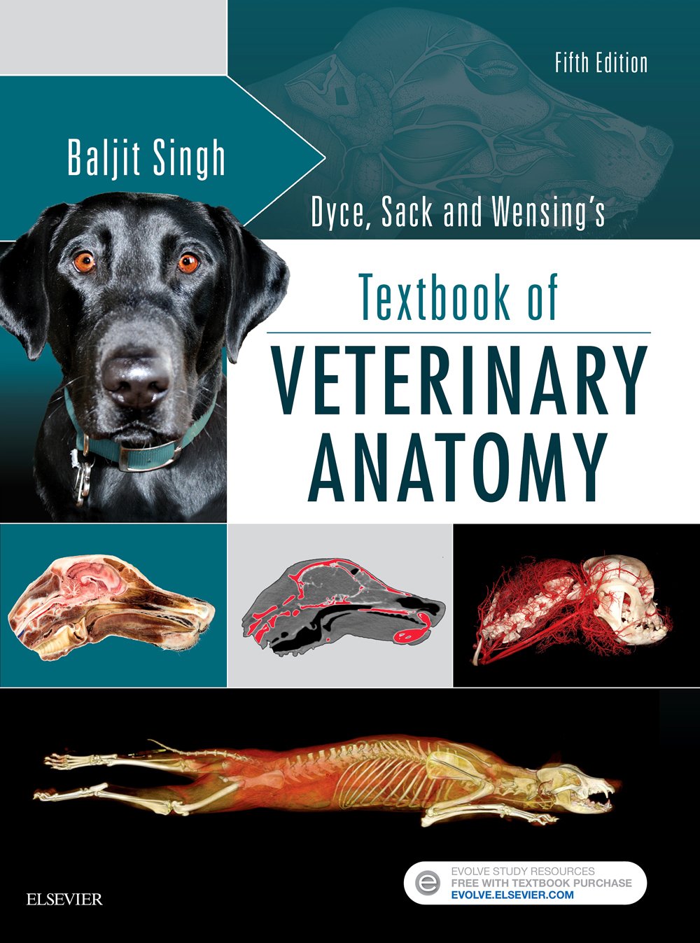 Dyce, Sack, and Wensing's Textbook of Veterinary Anatomy 5th Edition