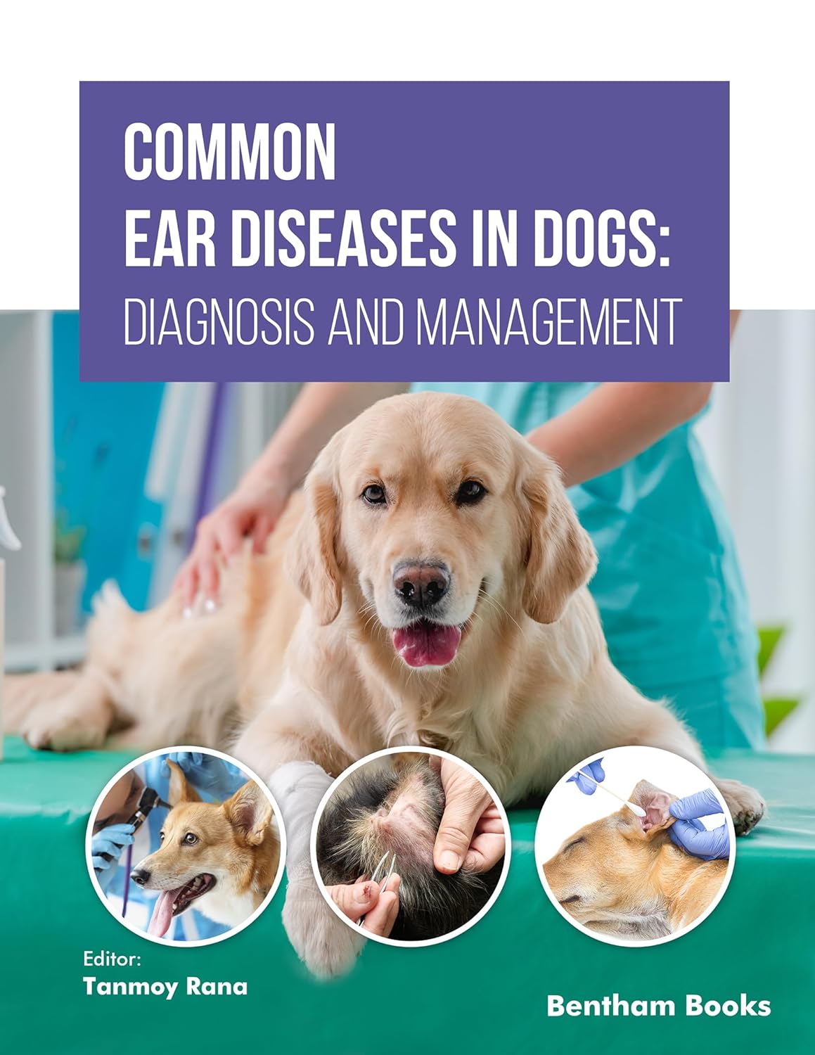 [January 21, 2025] Common Ear Diseases in Dogs: Diagnosis and Management