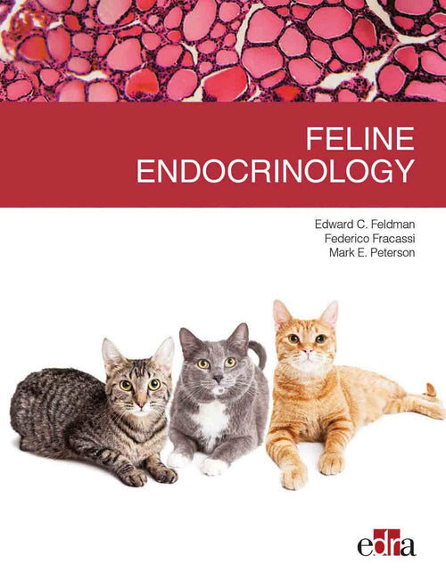 Feline endocrinology 1st Edition