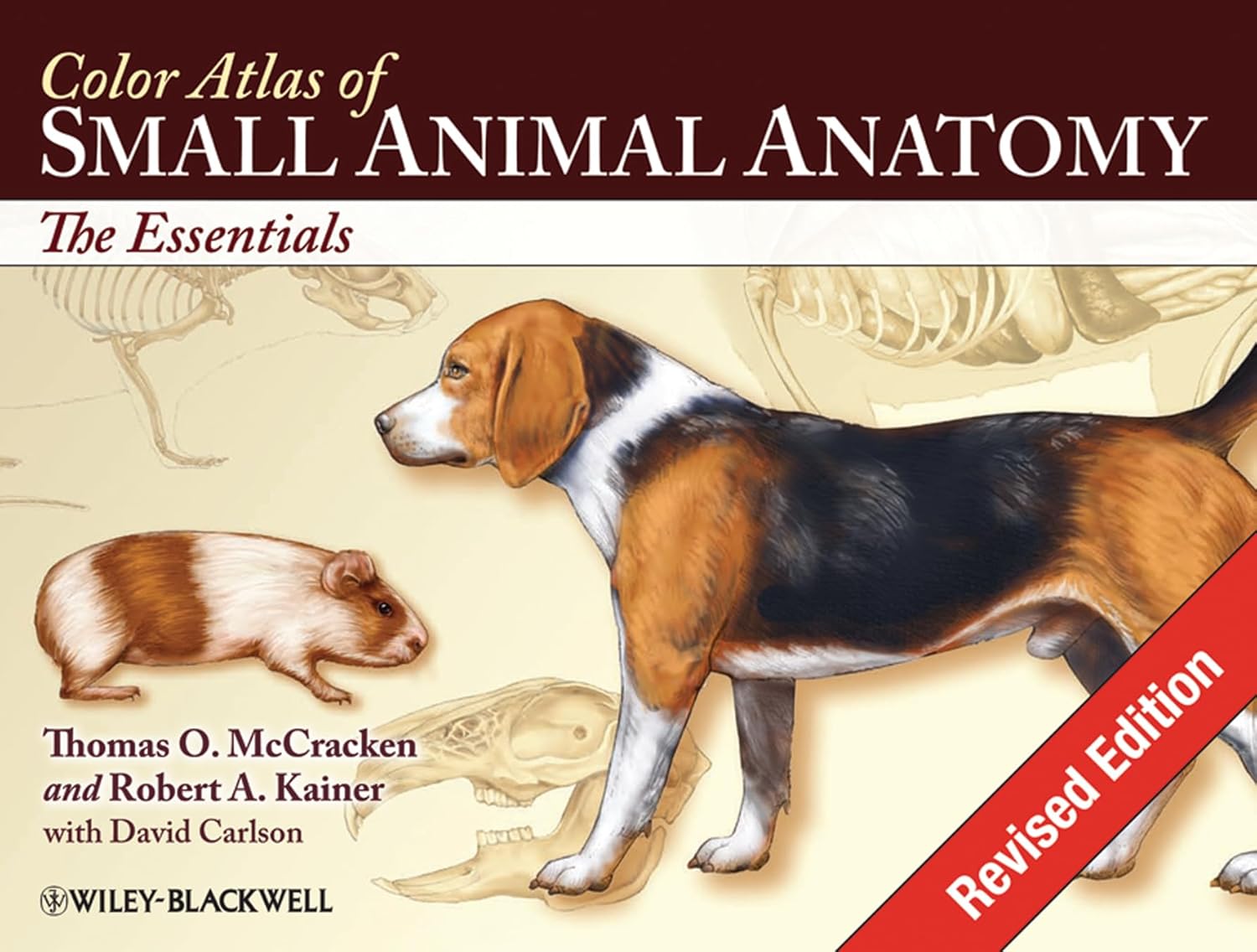Color Atlas of Small Animal Anatomy: The Essentials Revised Edition