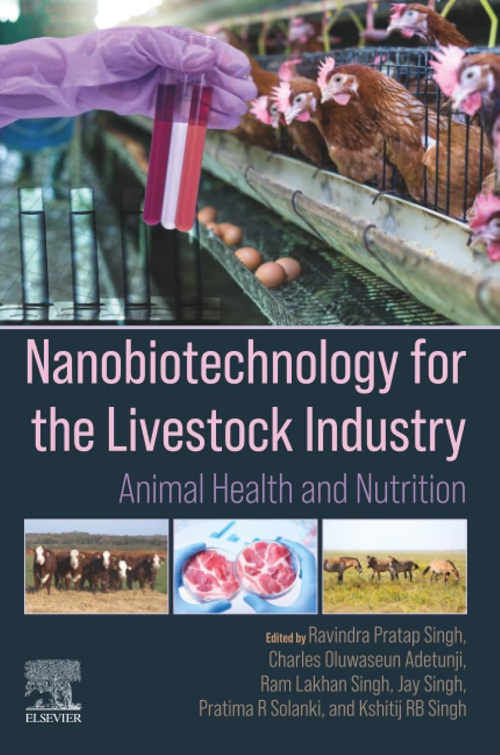Nanobiotechnology for the Livestock Industry: Animal Health and Nutrition 1st Edition