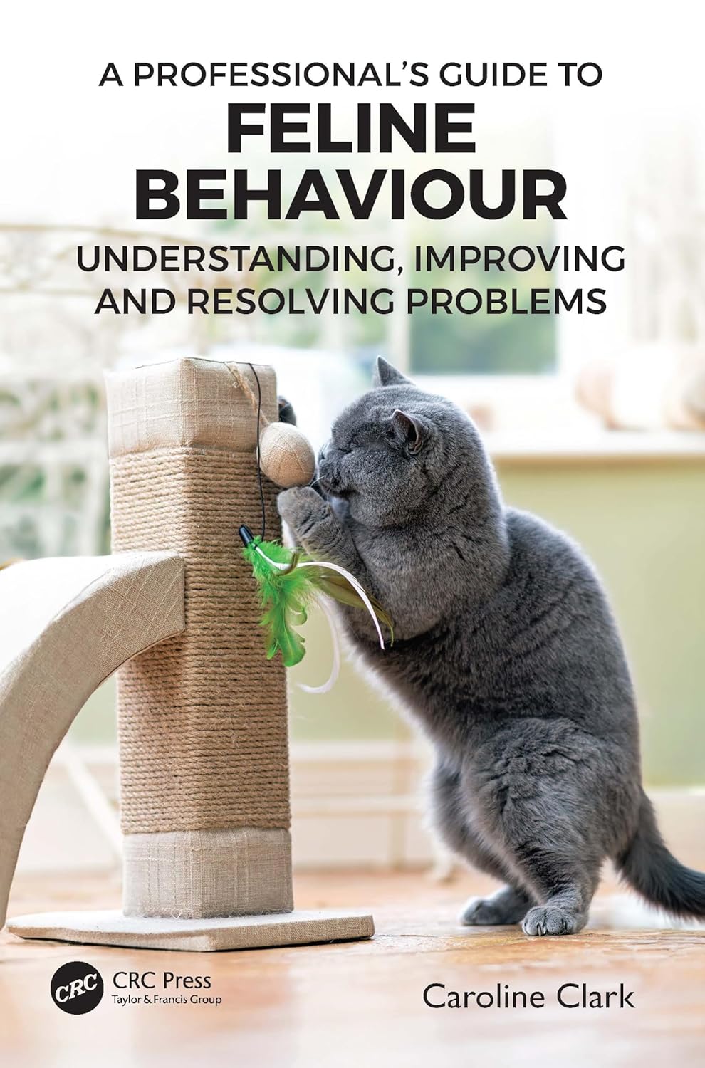 A Professional’s Guide to Feline Behaviour 1st Edition