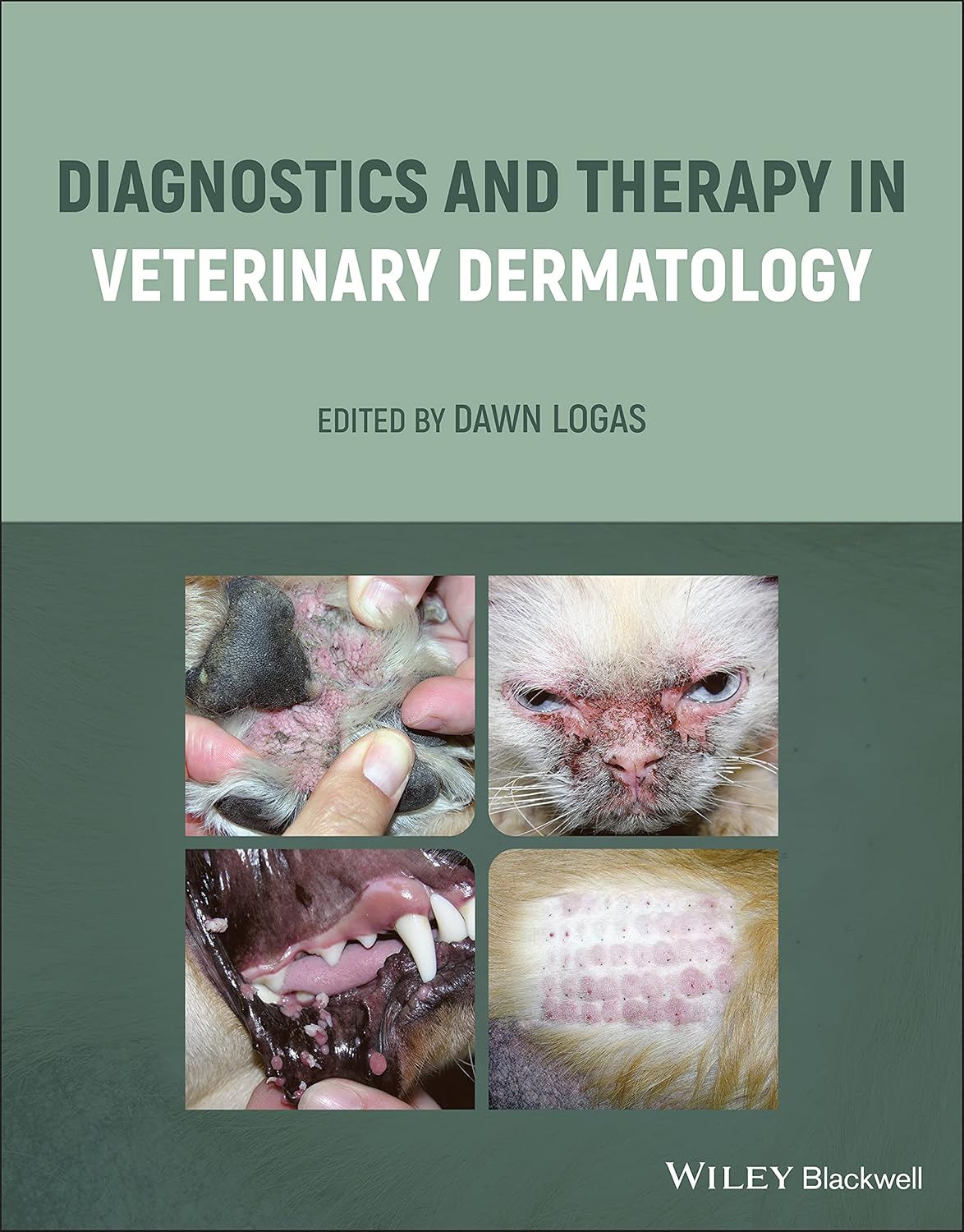 Diagnostics and Therapy in Veterinary Dermatology 1st Edition