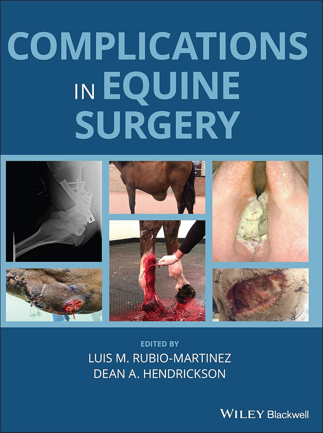 Complications in Equine Surgery 1st Edition