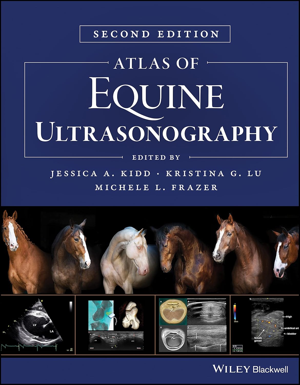 Atlas of Equine Ultrasonography 2nd Edition 2024
