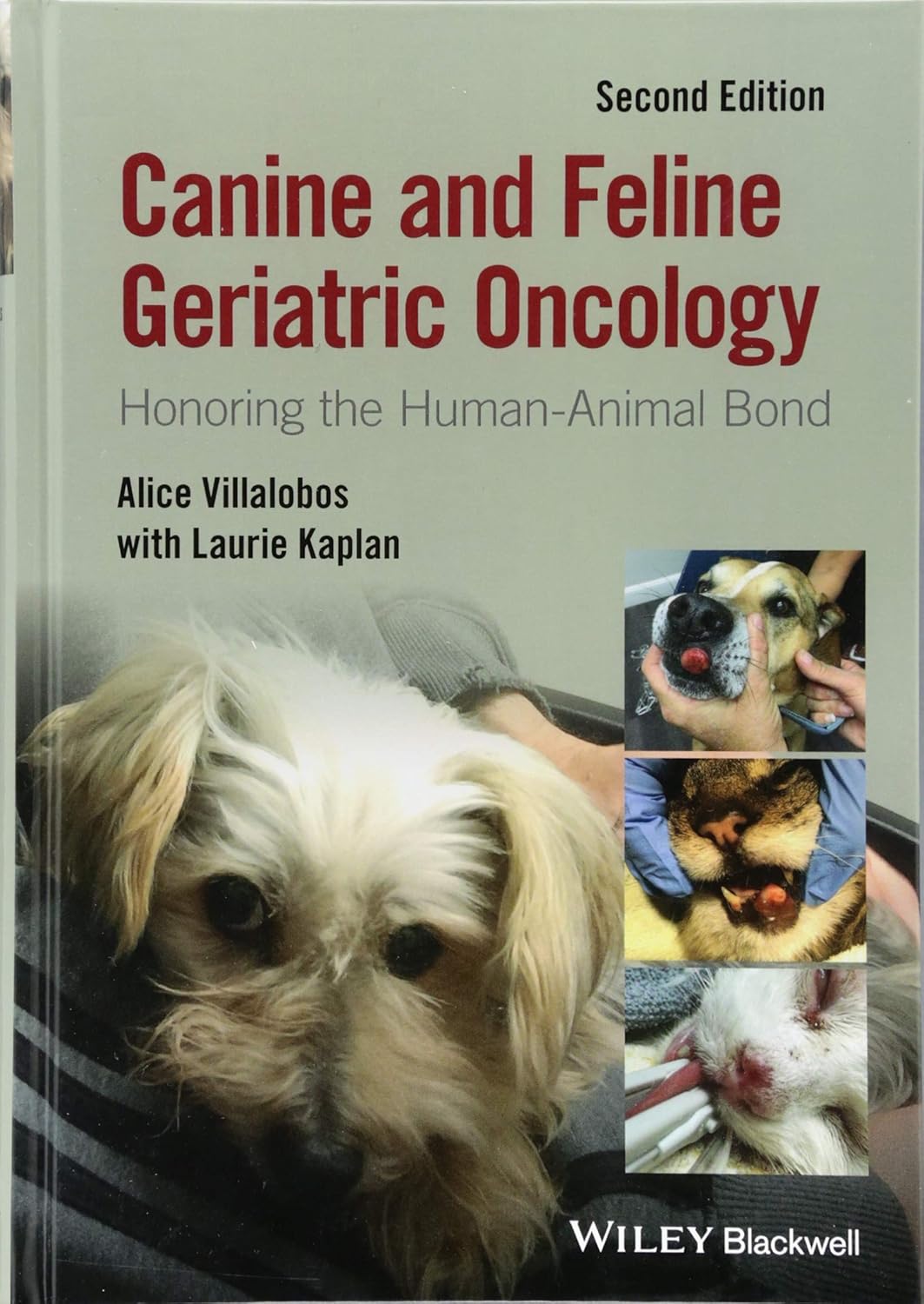 Canine and Feline Geriatric Oncology: Honoring the Human-Animal Bond 2nd Edition