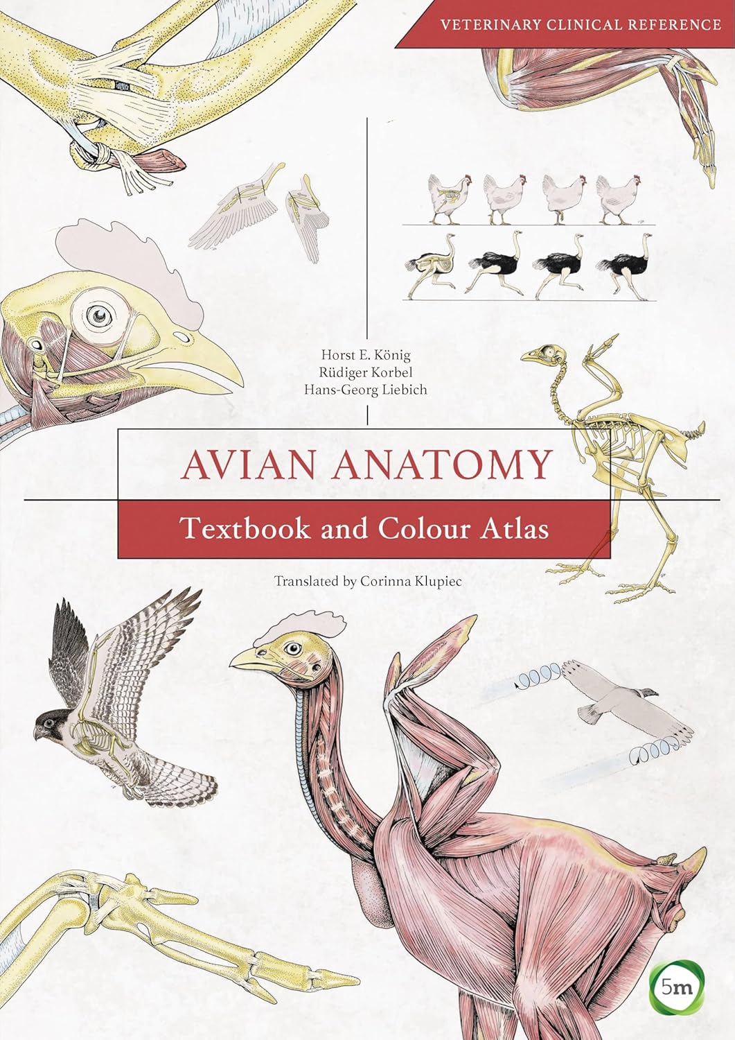 Avian Anatomy: Textbook and Colour Atlas (Second Edition) 1st Edition