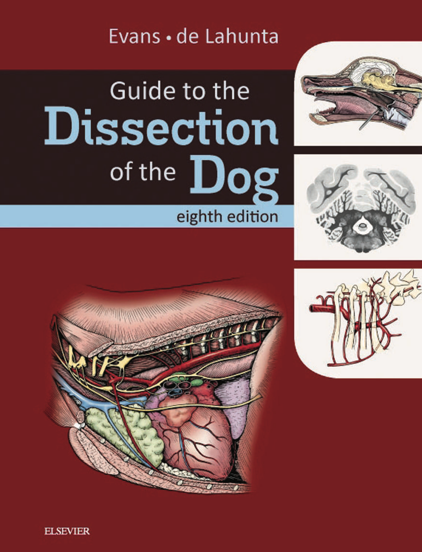 Guide to the Dissection of the Dog 8th Edition