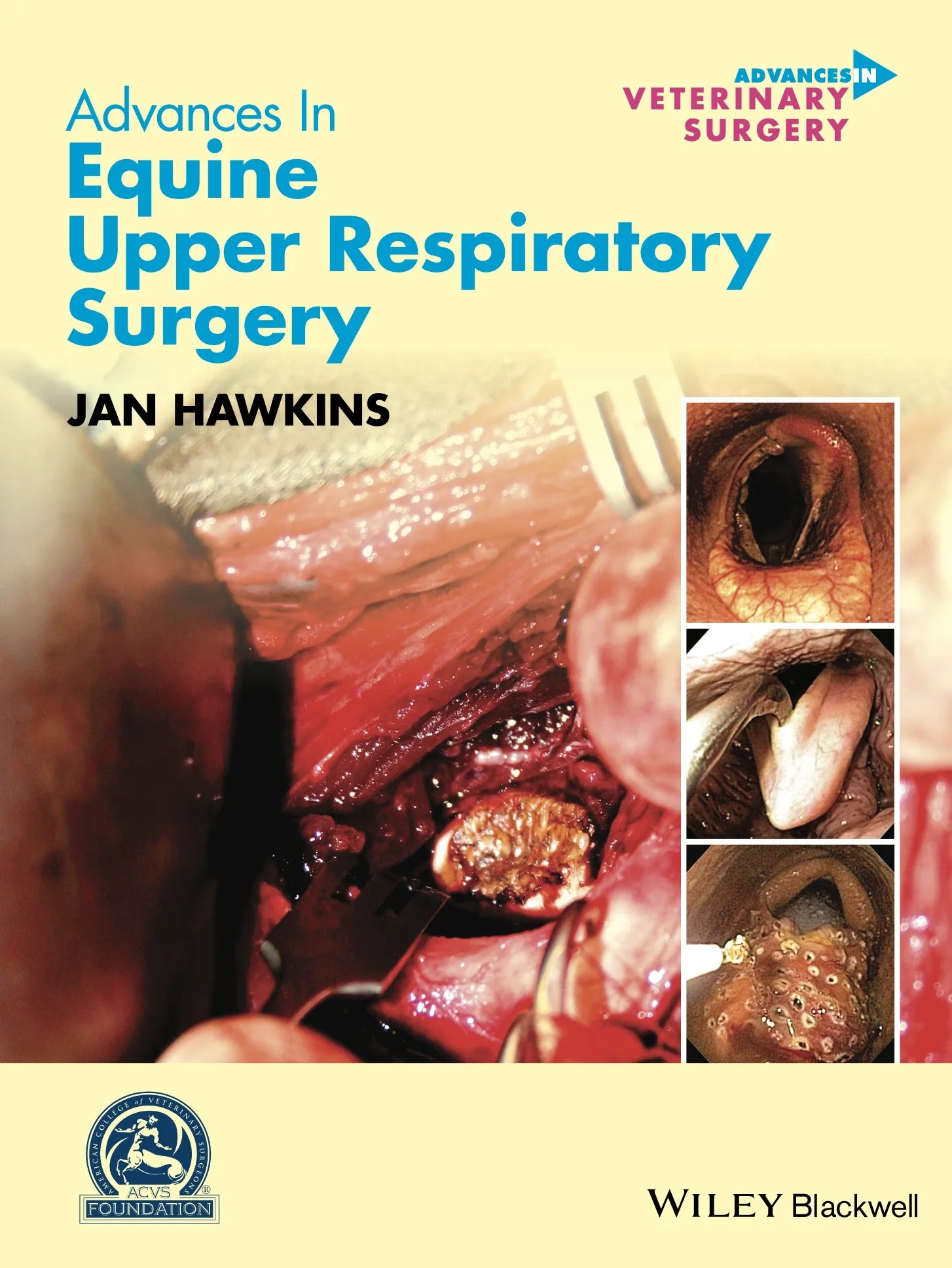 Advances in Equine Upper Respiratory Surgery (AVS Advances in Veterinary Surgery) 1st Edition