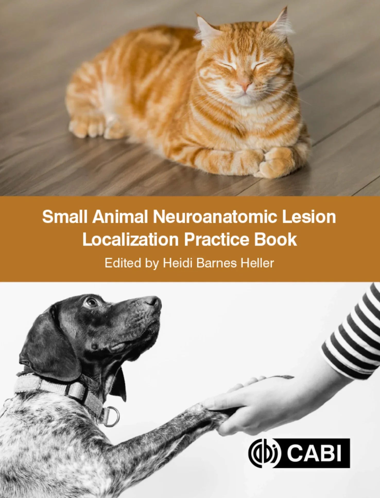 Small Animal Neuroanatomic Lesion Localization Practice Book