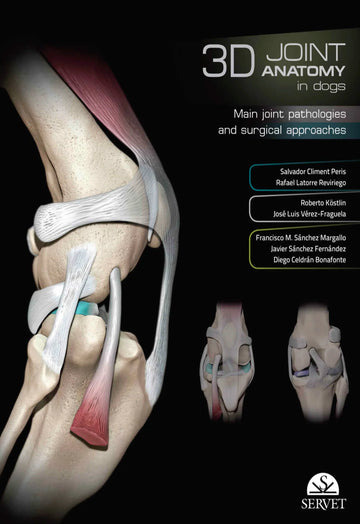 3D joint anatomy in dogs: Main joint pathologies and surgical approaches + Integreated 3D videos